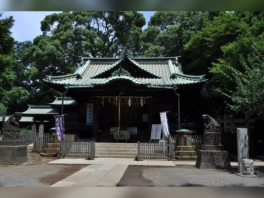 Vista de 代々木八幡宮