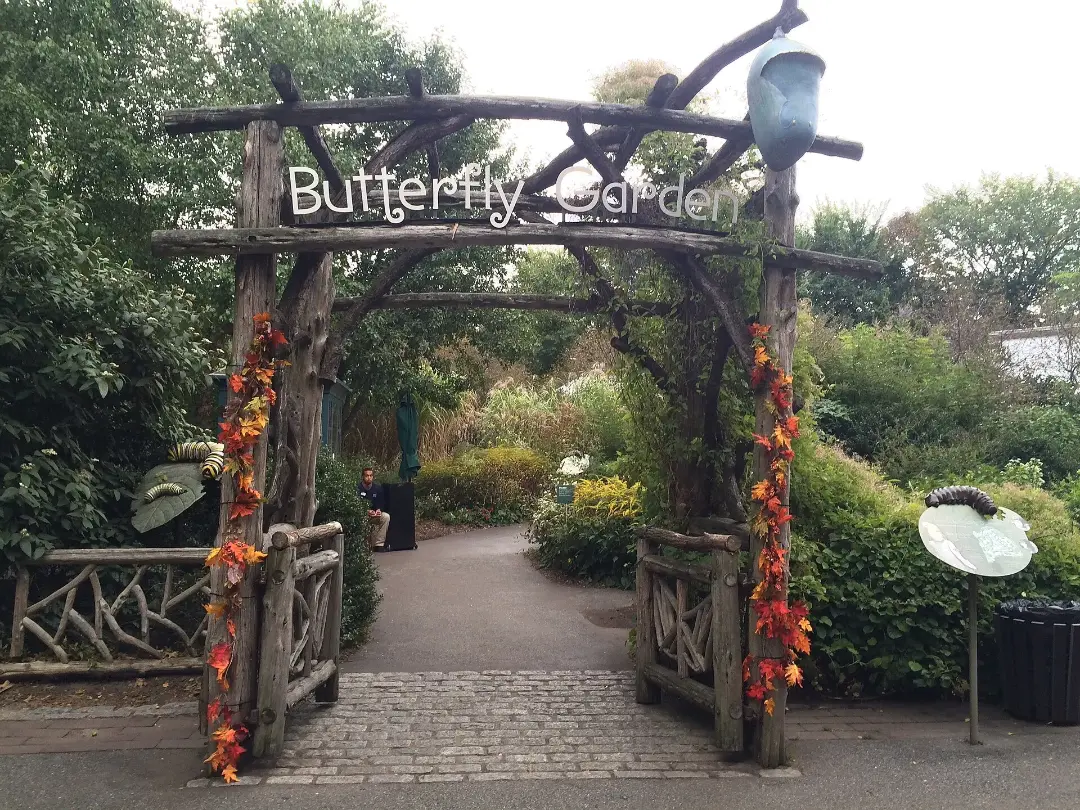 Vista de Butterfly Garden