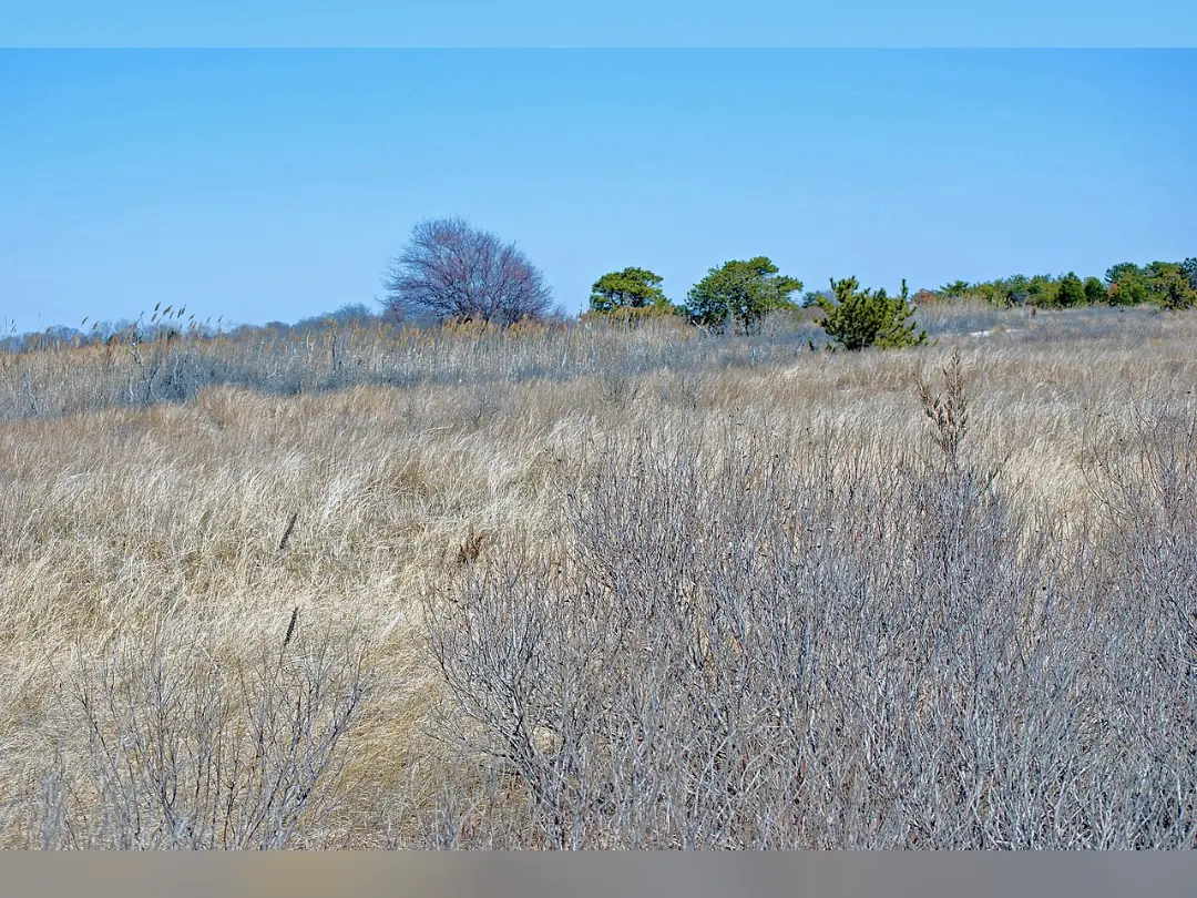 Vista de Heckscher State Park