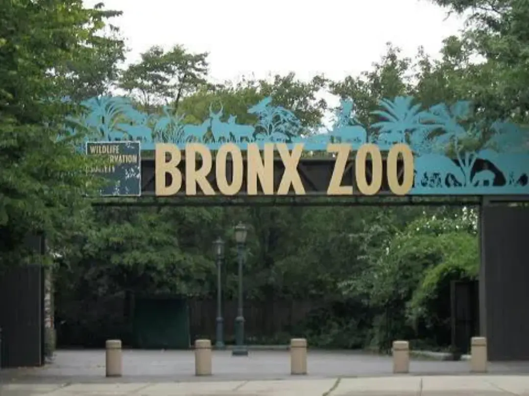 Vista de Bronx Zoo