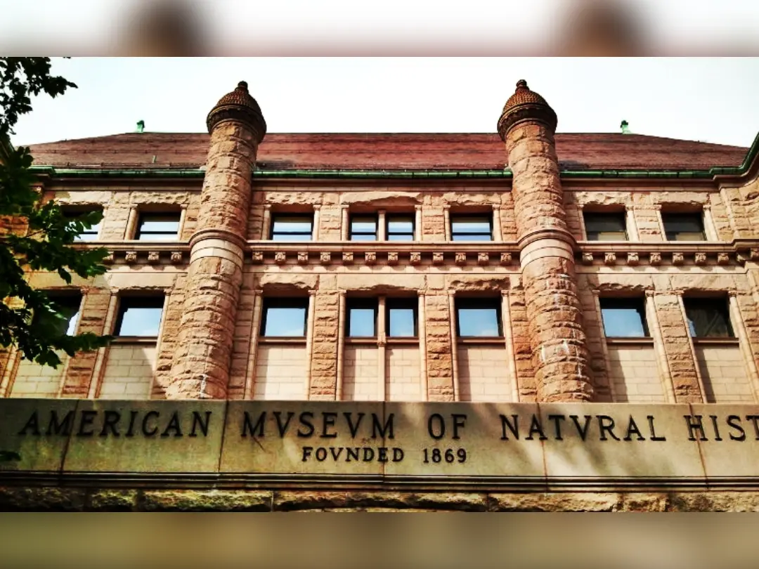 Vista de American Museum of Natural History