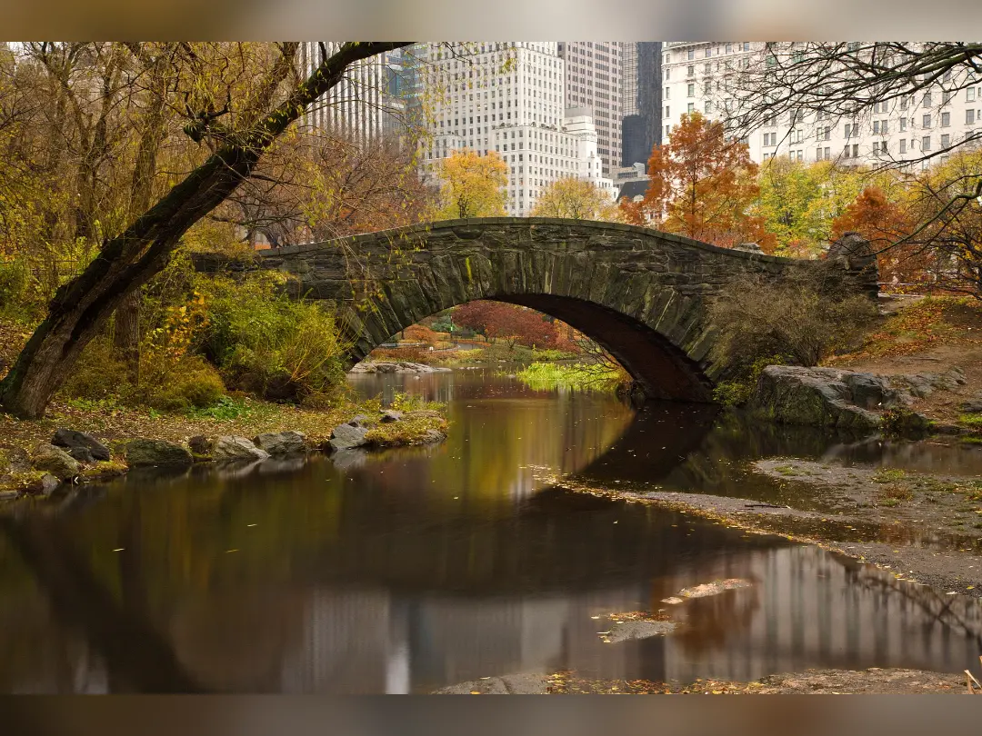 Vista de Gapstow Bridge