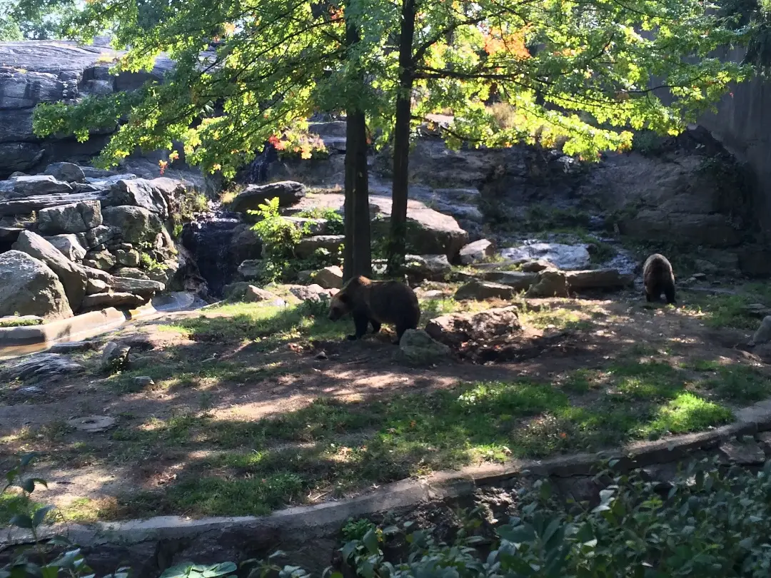 Vista de Bears