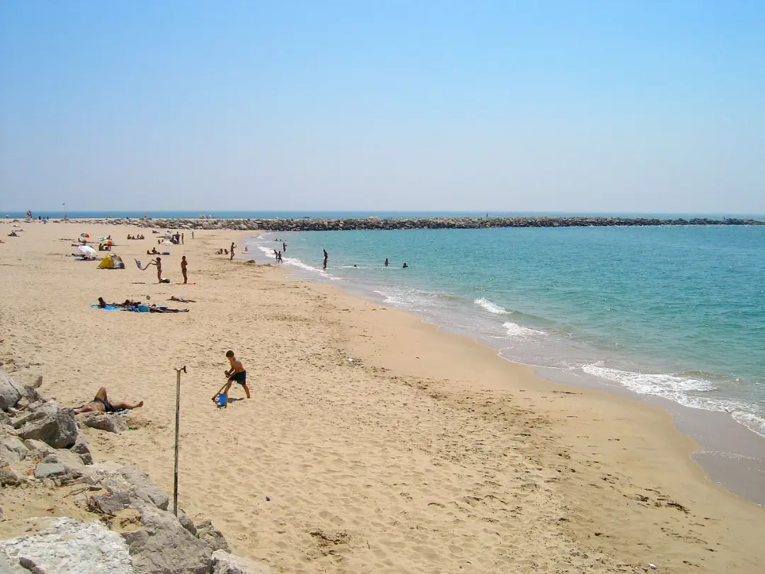 Vista de Praia do Albatroz