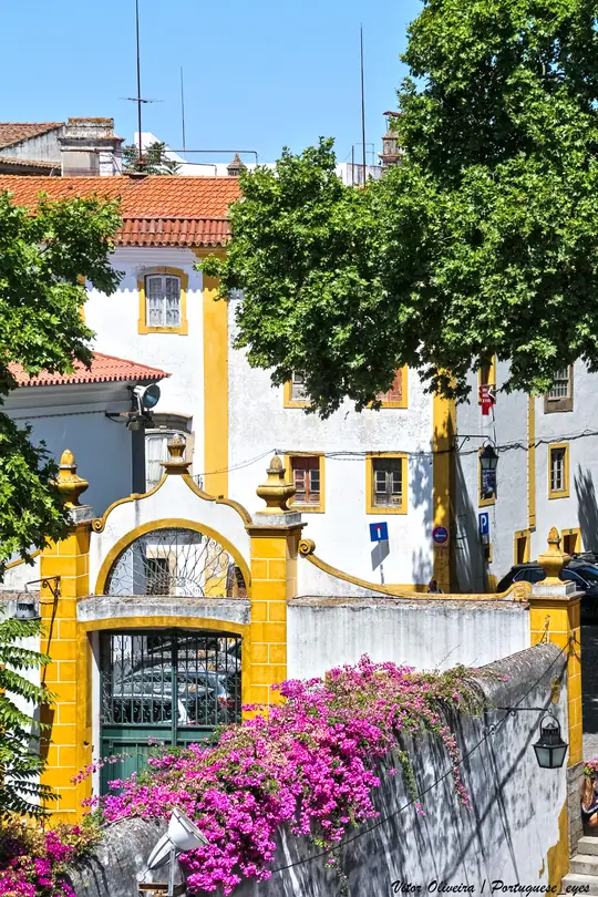 Vista de Palácio do Vimioso