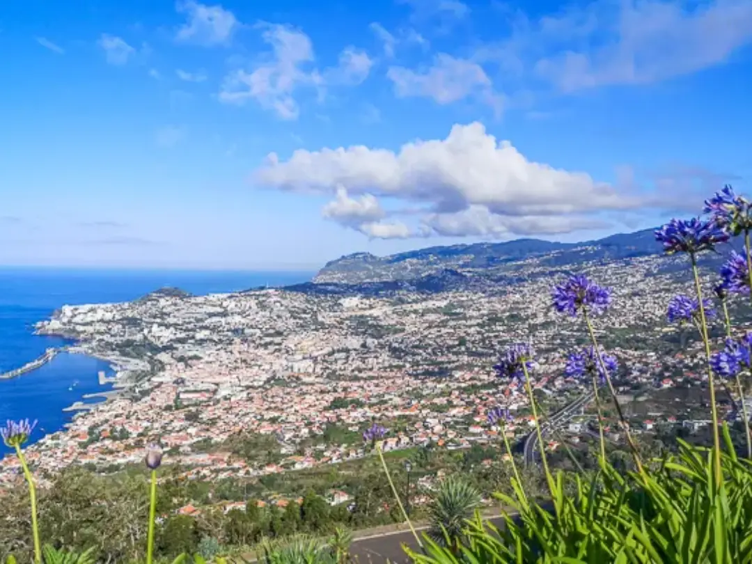 Vista de Funchal-Cancela-Funchal
