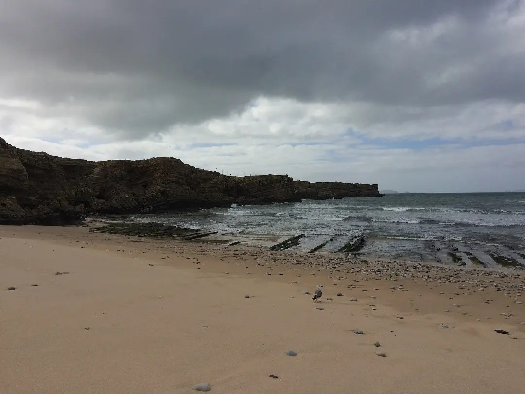 Vista de Praia do Portinho da Areia Norte