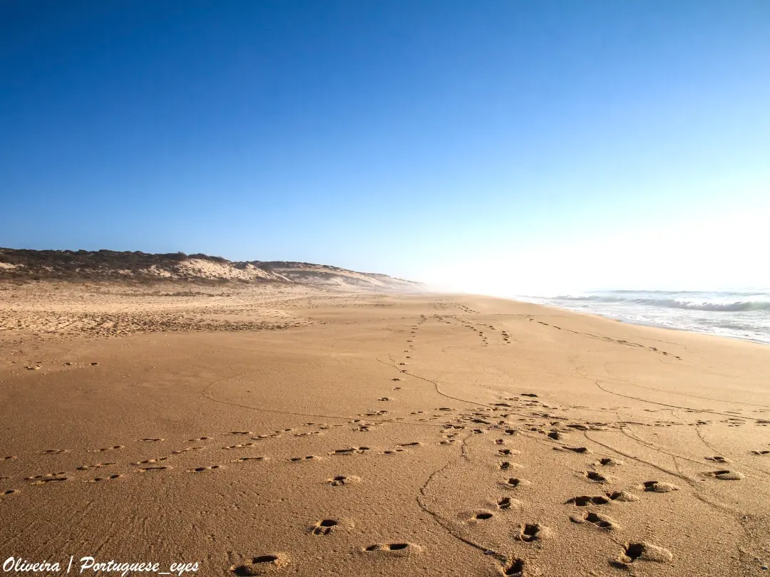 Vista de Praia das Areias Brancas