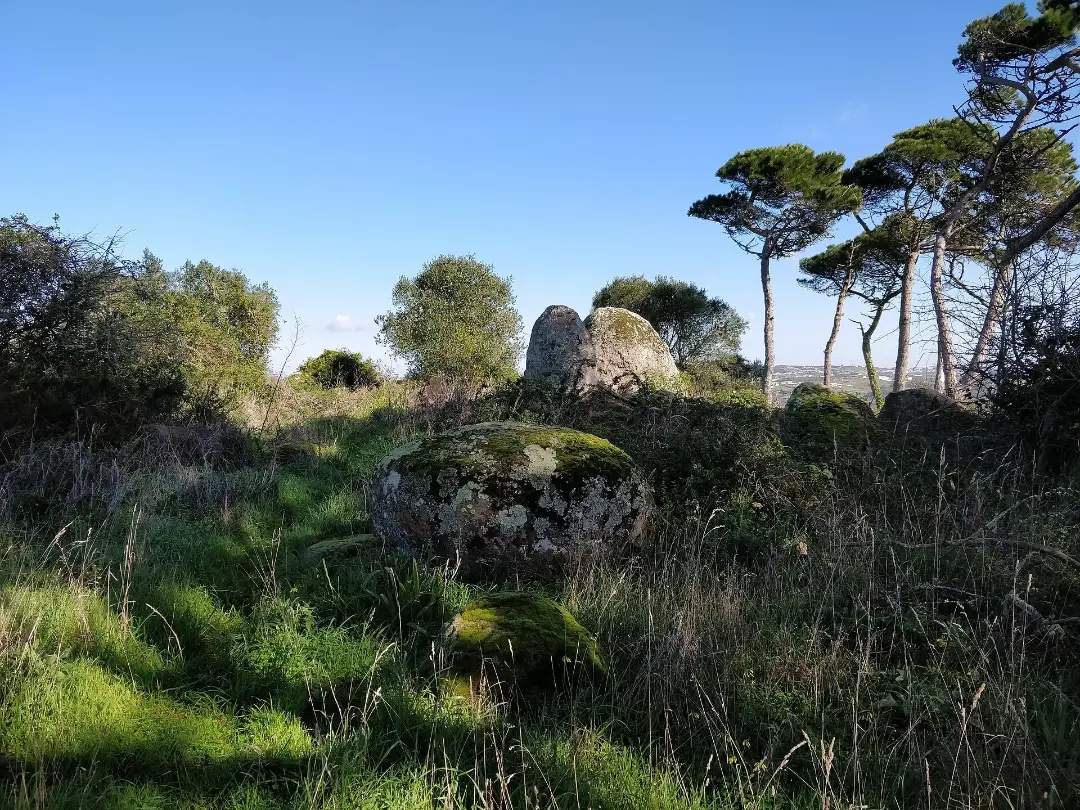 Vista de Conjunto Megalítico de Barreira