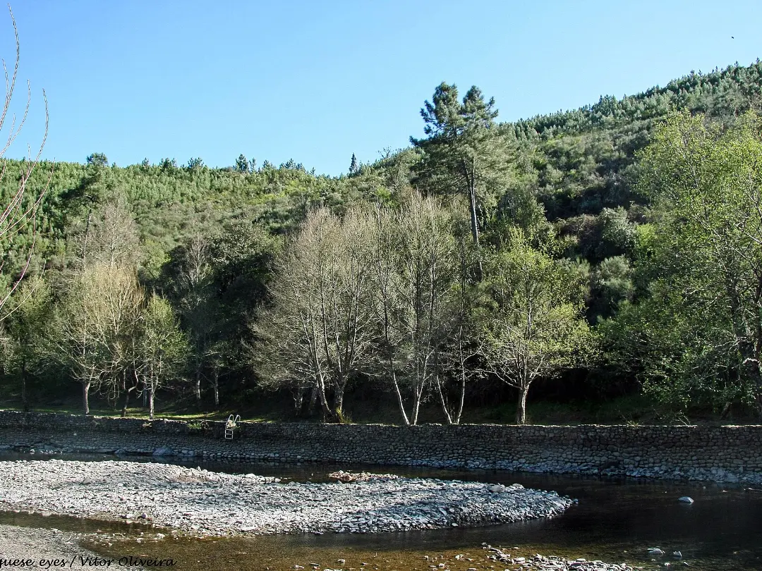 Vista de Praia Fluvial de Pego das Cancelas