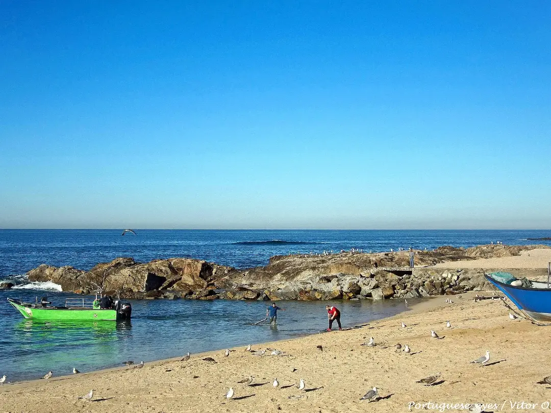 Vista de Praia de Vila Chã - Vila do Conde