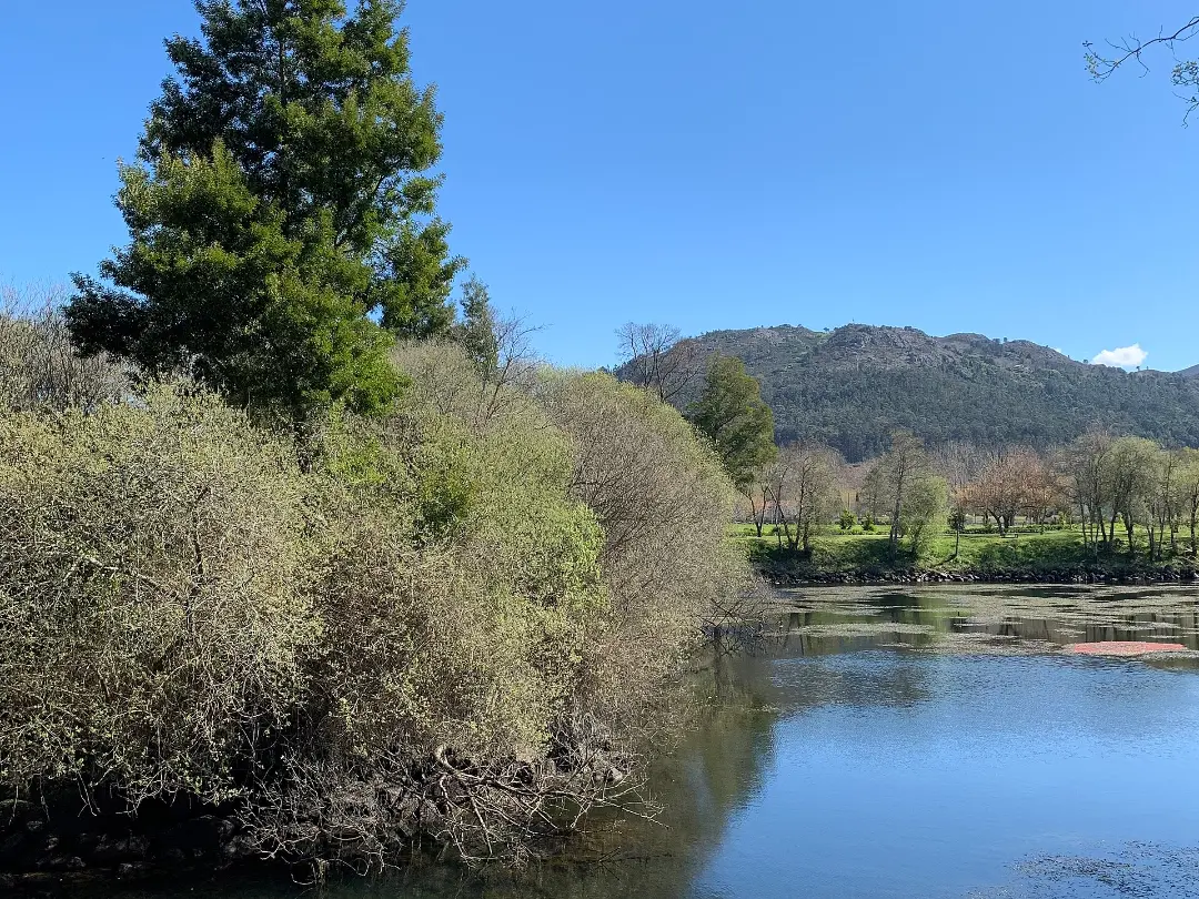 Vista de Praia Fluvial da Lenta
