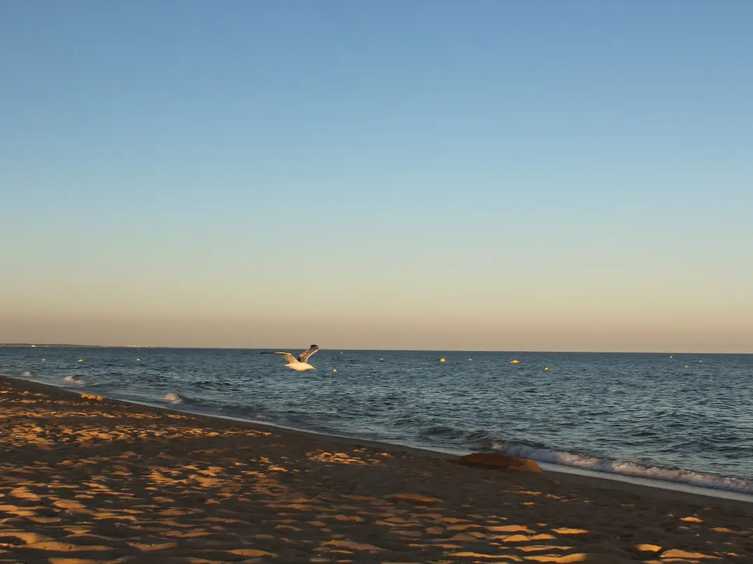 Vista de Praia da Lota